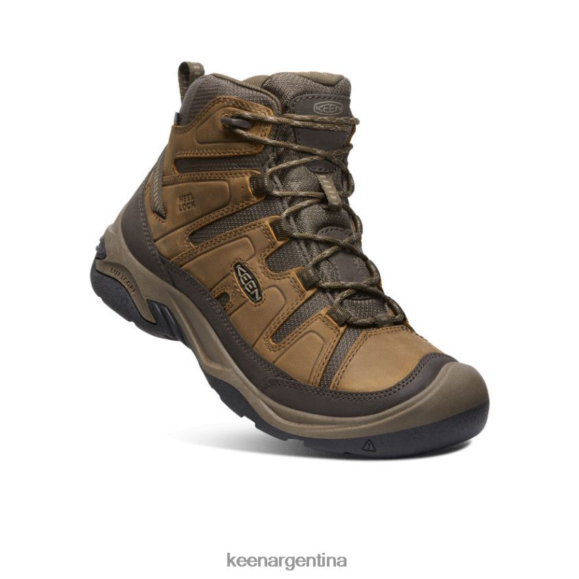 bisonte/atigrado calzado KEEN bota impermeable circadia T0822B71 hombres