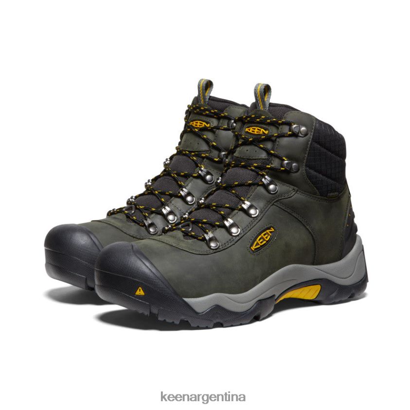 imán/olivo leonado calzado KEEN deleite iii T0822B343 hombres