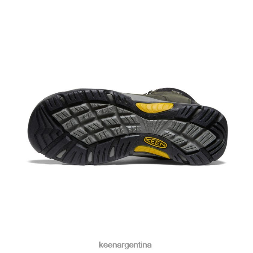 imán/olivo leonado calzado KEEN deleite iii T0822B343 hombres