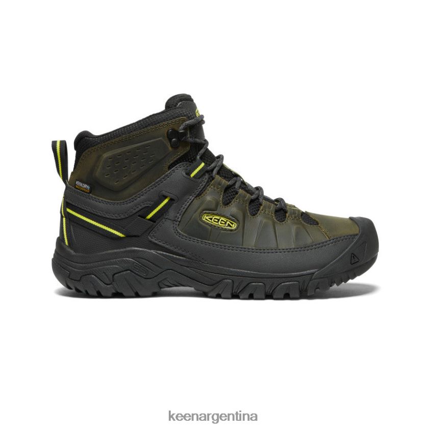 noche del bosque/onagra calzado KEEN targhee iii impermeable medio T0822B227 hombres