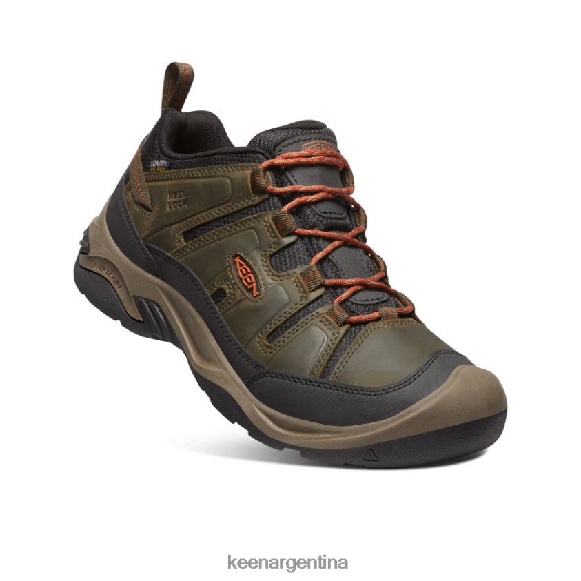 oliva negra/arcilla de alfarero calzado KEEN zapato impermeable circadia T0822B102 hombres