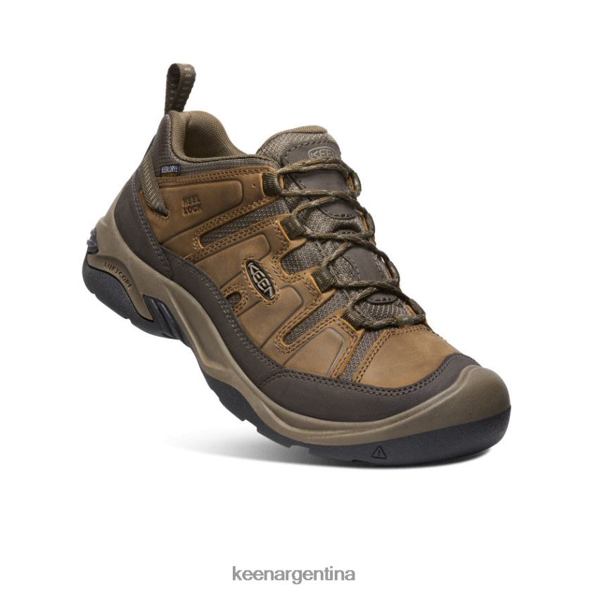 shitake/atigrado calzado KEEN zapato impermeable circadia T0822B101 hombres