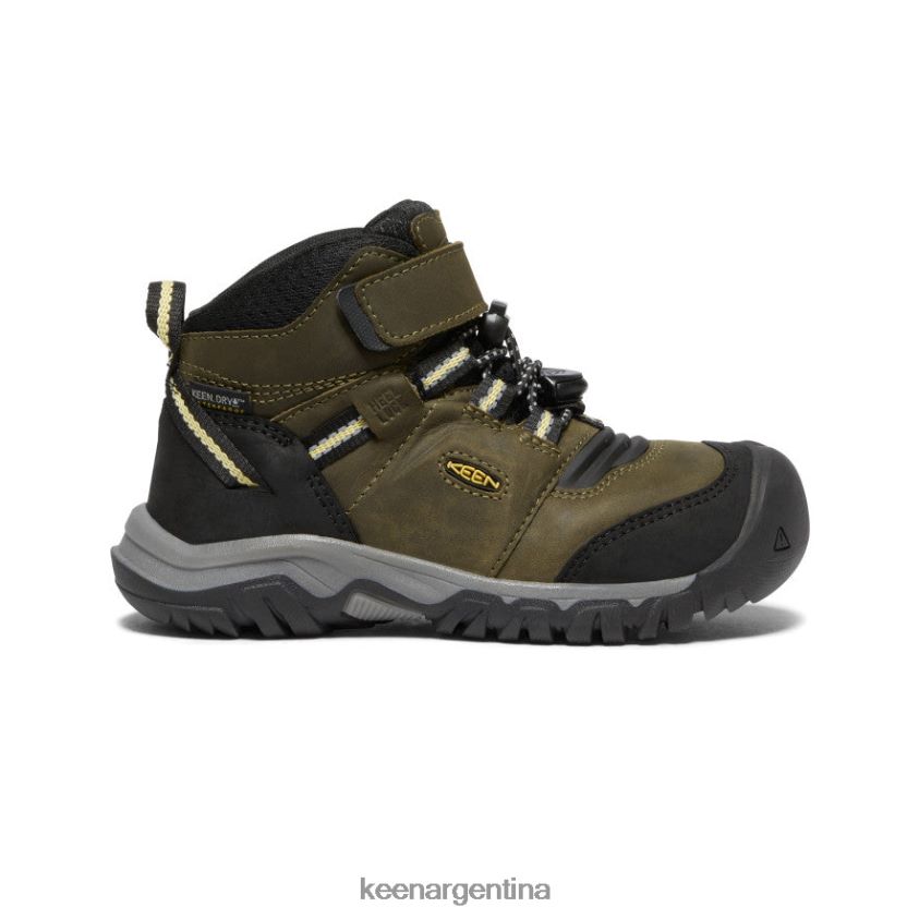 oliva oscuro/cidra oscura calzado KEEN bota impermeable ridge flex T0822B907 pequeños niños