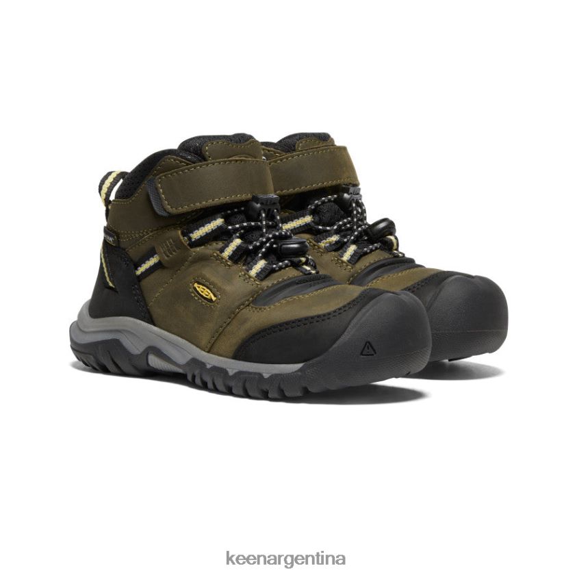 oliva oscuro/cidra oscura calzado KEEN bota impermeable ridge flex T0822B907 pequeños niños