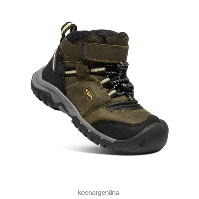 oliva oscuro/cidra oscura calzado KEEN bota impermeable ridge flex T0822B907 pequeños niños