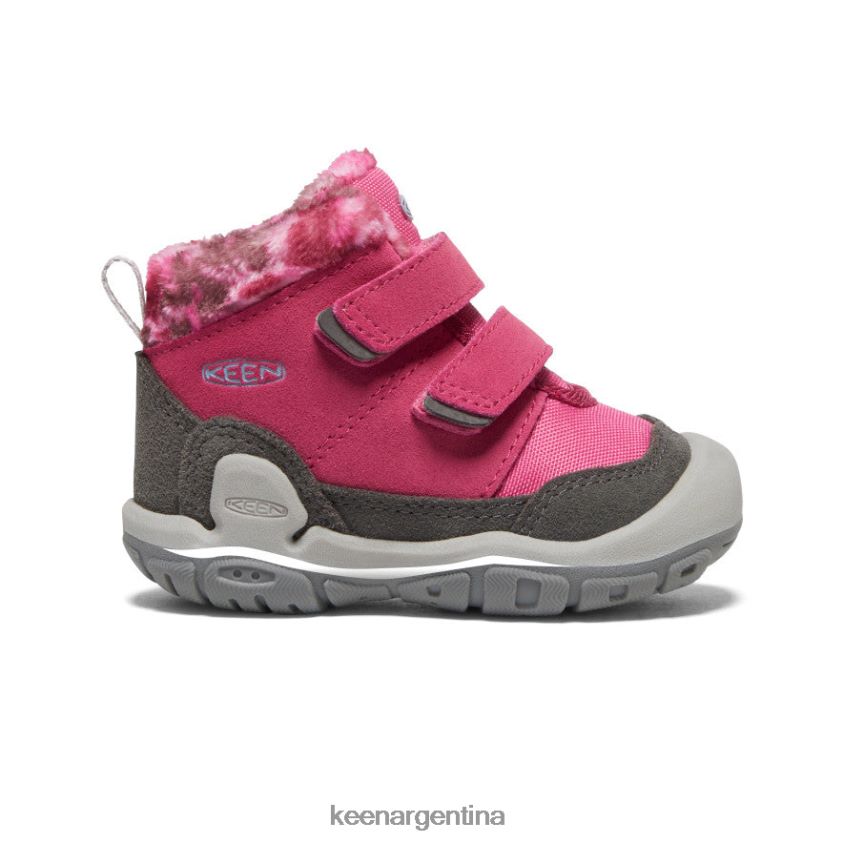 paloma de la fruta/negro calzado KEEN chukka con doble correa y nudo T0822B1013 niños pequeños