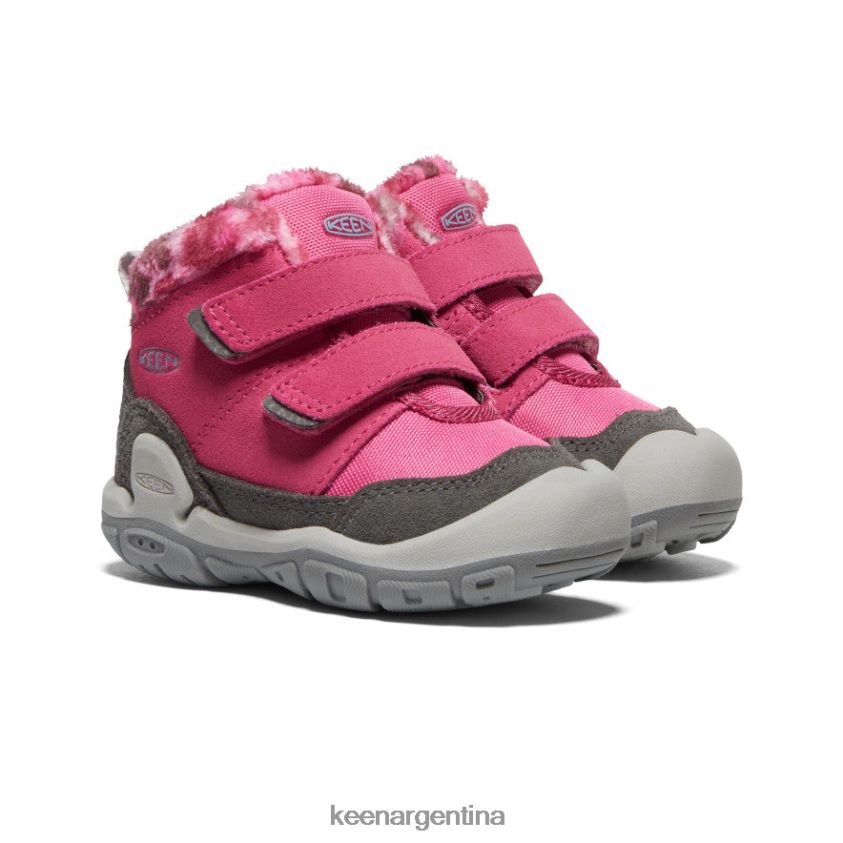 paloma de la fruta/negro calzado KEEN chukka con doble correa y nudo T0822B1013 niños pequeños