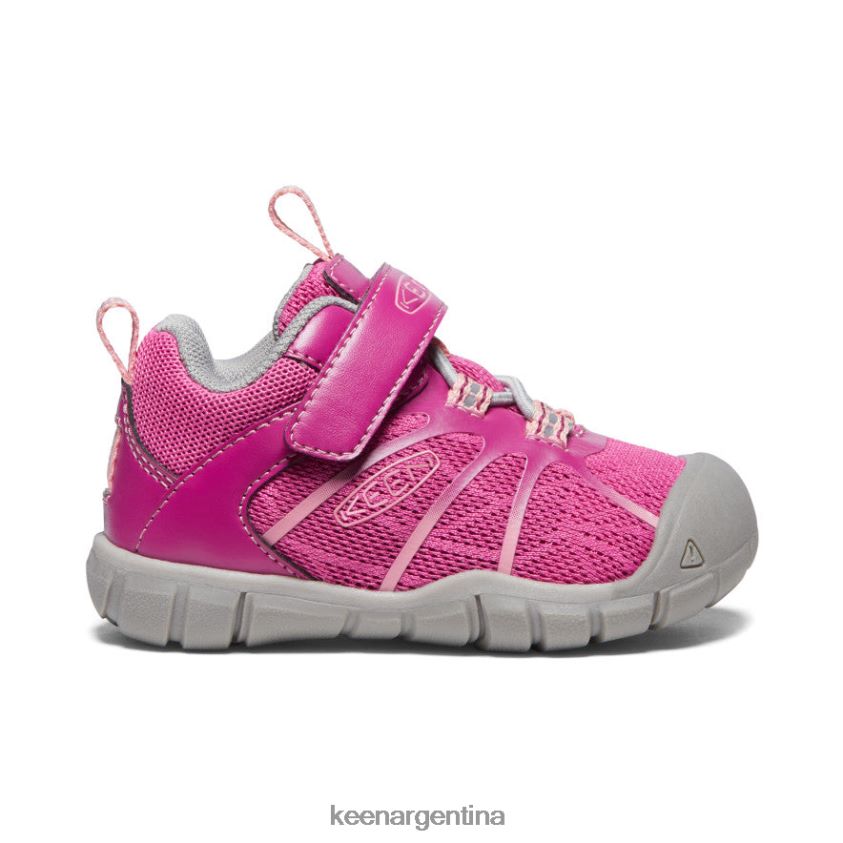 festival fucsia/rosa ibis calzado KEEN zapatillas chandler 2 cnx T0822B884 niños pequeños