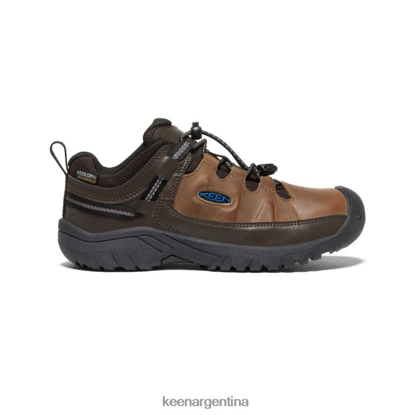 grano de café/bisonte calzado KEEN zapato impermeable targhee T0822B841 niños grandes