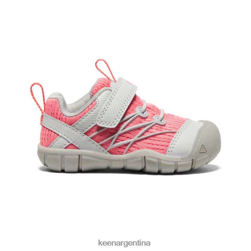 llovizna/dubarry calzado KEEN chandler cnx T0822B900 niños pequeños